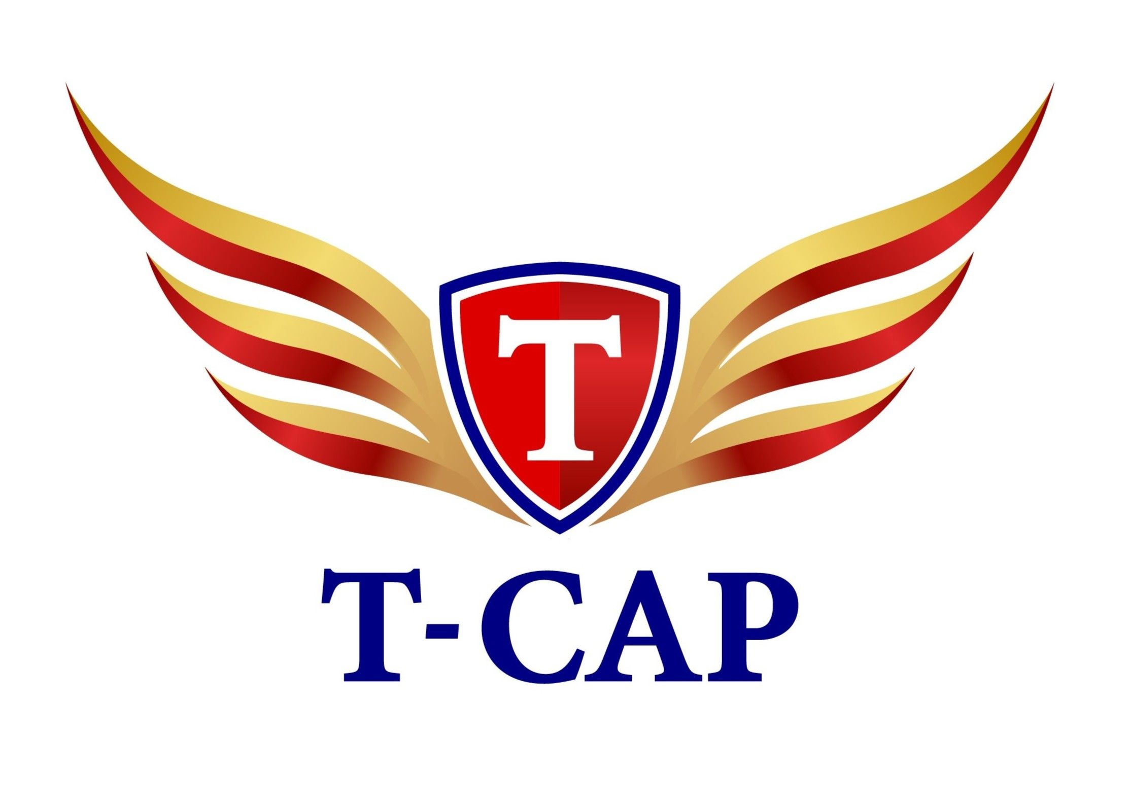 CÔNG TY CỔ PHẦN CHỨNG KHOÁN T-CAP