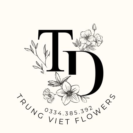 Công ty TNHH Trung Việt TD