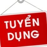 CÔNG TY TNHH TMDV KIẾN VÀNG