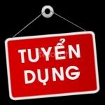 CÔNG TY TNHH ĐẦU TƯ VÀ THƯƠNG MẠI DỊCH VỤ AN THỊNH PHÚC