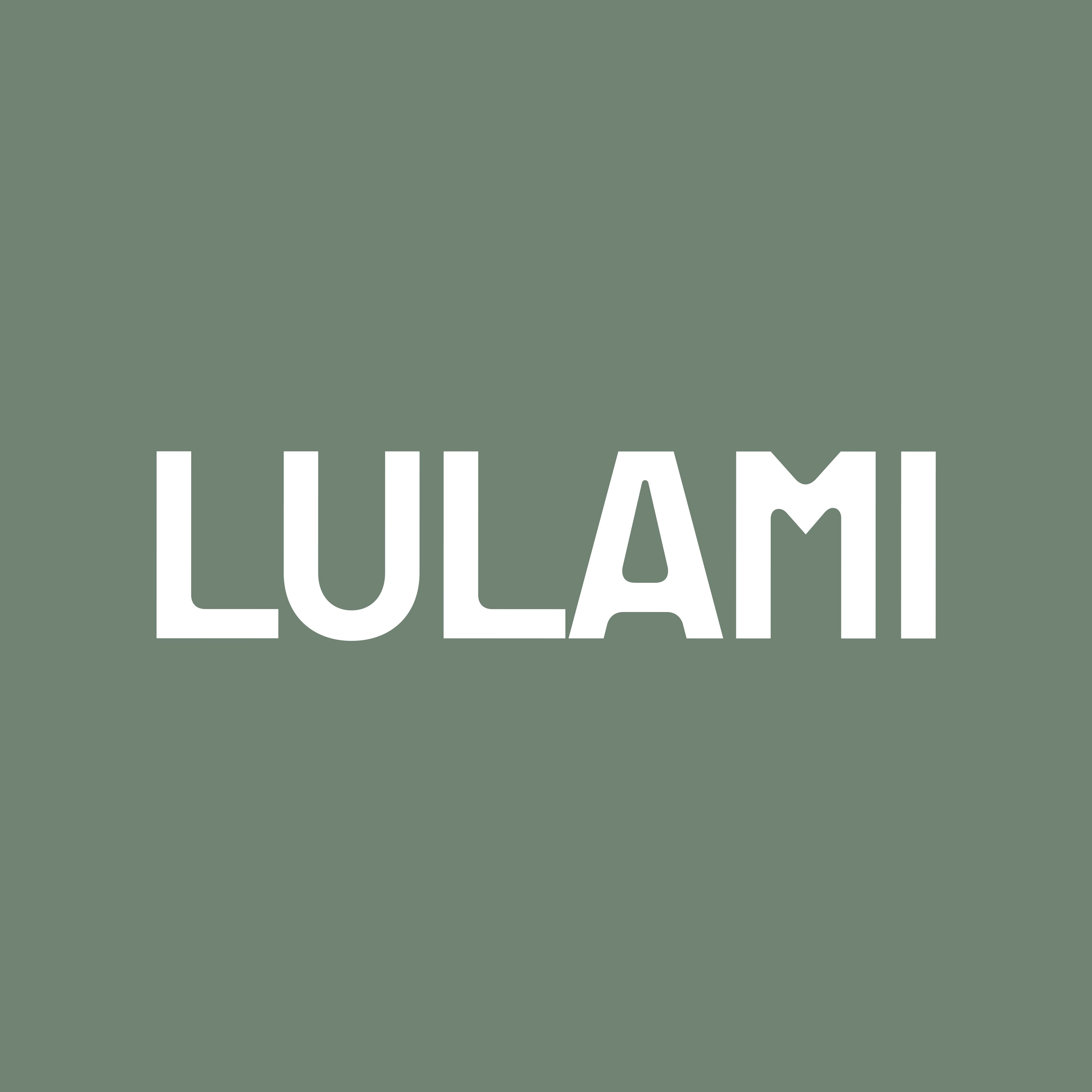 CÔNG TY CỔ PHẦN LULAMI