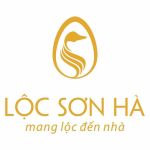 CÔNG TY CỔ PHẦN PHÁT TRIỂN VÀ ĐẦU TƯ BẤT ĐỘNG SẢN LỘC SƠN HÀ MIỀN BẮC