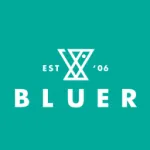 CÔNG TY TNHH BLUER