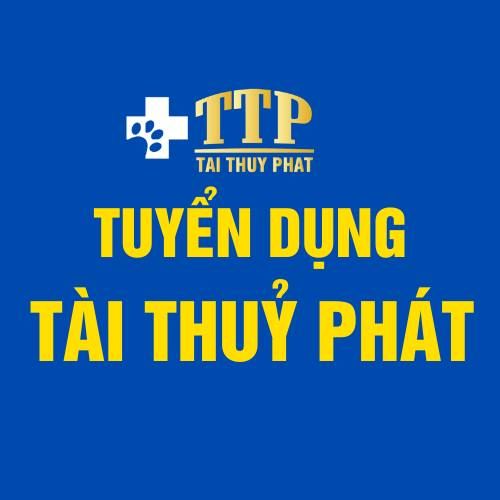 CÔNG TY TNHH THƯƠNG MẠI VÀ DỊCH VỤ TÀI THỦY PHÁT