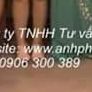Công ty TNHH Tư vấn Anh Phong