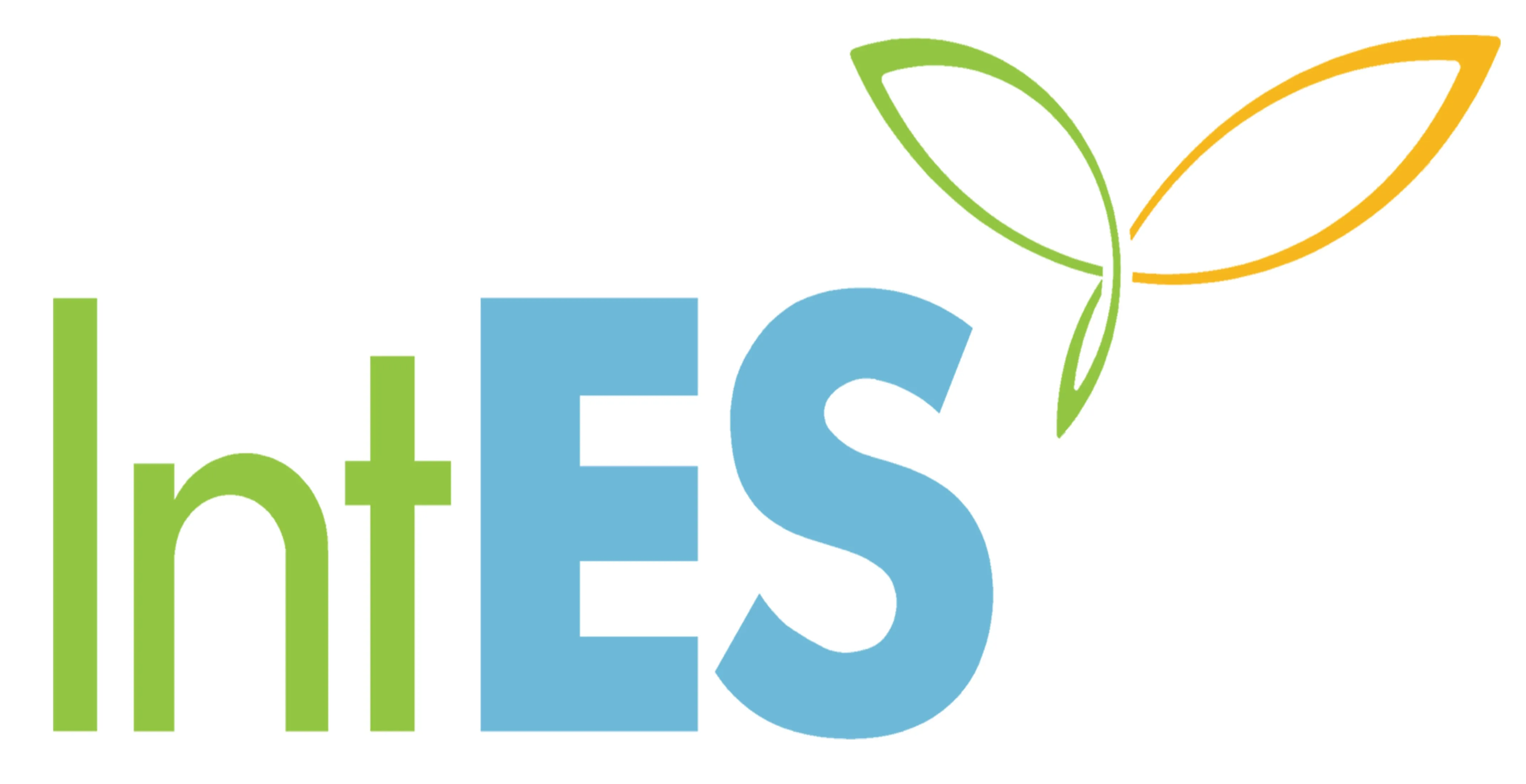 IntES VN Co.ltd