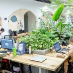 công ty cổ phần tập đoàn kvbprime