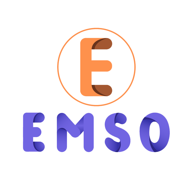 Công ty cổ phần EMSO Việt Nam