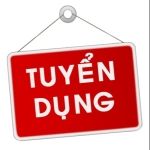 CHI NHÁNH MOBIFONE SERVICE HÀ NỘI - CÔNG TY CỔ PHẦN DỊCH VỤ KỸ THUẬT MOBIFONE