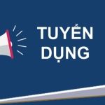 CÔNG TY CỔ PHẦN HỢP TÁC THƯƠNG MẠI VÀ DỊCH VỤ QUỐC TẾ BẢO ANH