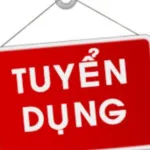 CÔNG TY TNHH ALLIED VIỆT NAM