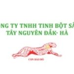 CÔNG TY TNHH TINH BỘT SẮN TÂY NGUYÊN - ĐẮK HÀ