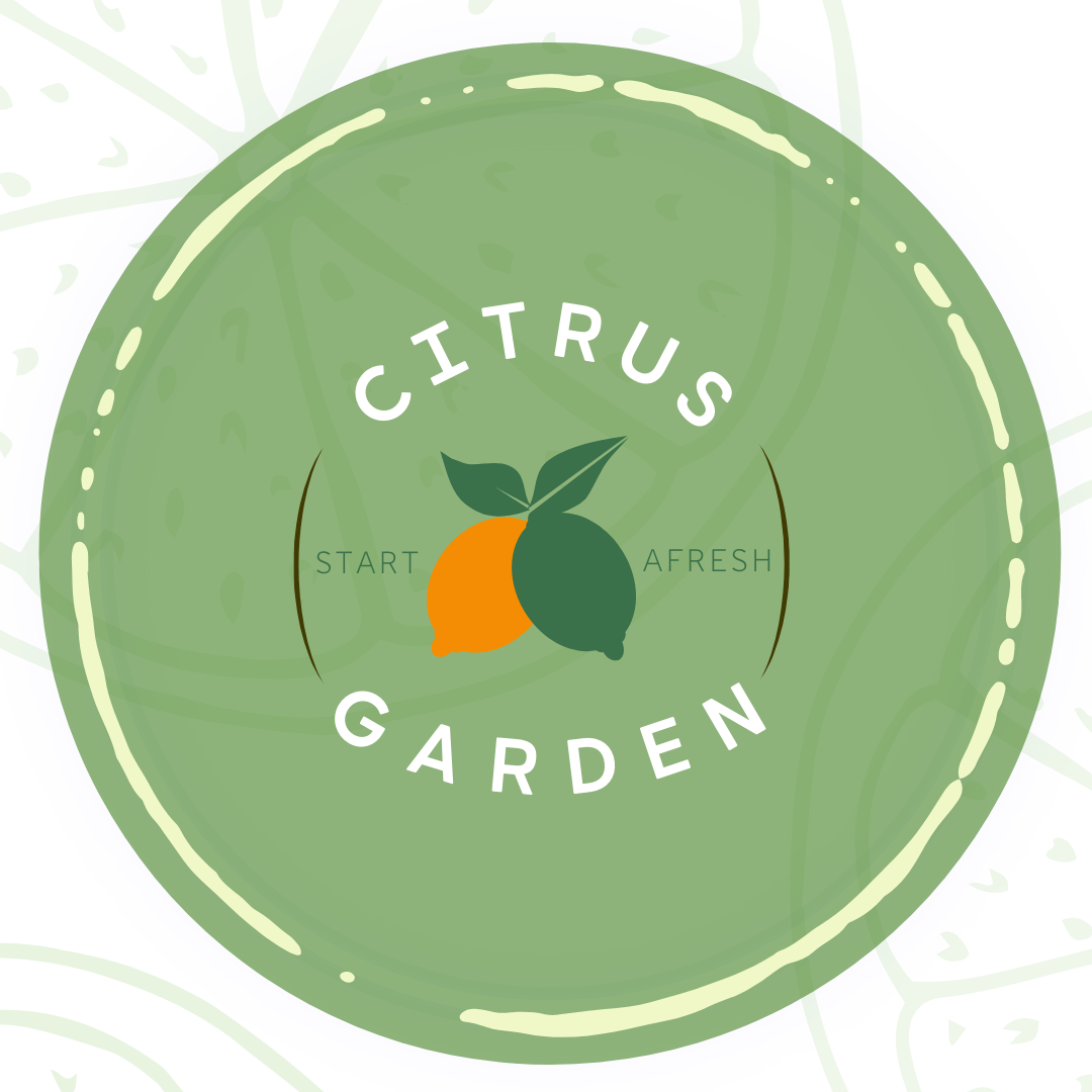 Trung tâm tiếng anh Citrus Garden