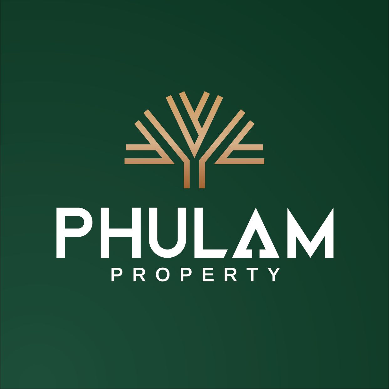 CÔNG TY CỔ PHẦN TƯ VẤN VÀ PHÁT TRIỂN BẤT ĐỘNG SẢN PHÚ LÂM