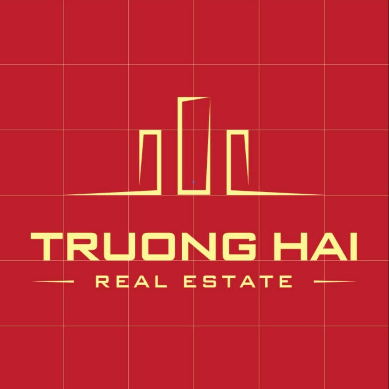 CÔNG TY CỔ PHẦN DỊCH VỤ XÂY DỰNG ĐỊA ỐC TRƯỜNG HẢI