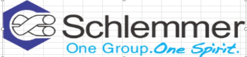 Công ty TNHH Phụ tùng Ô tô Schlemmer Việt Nam