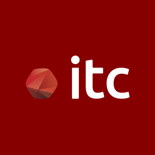 IT Consultis