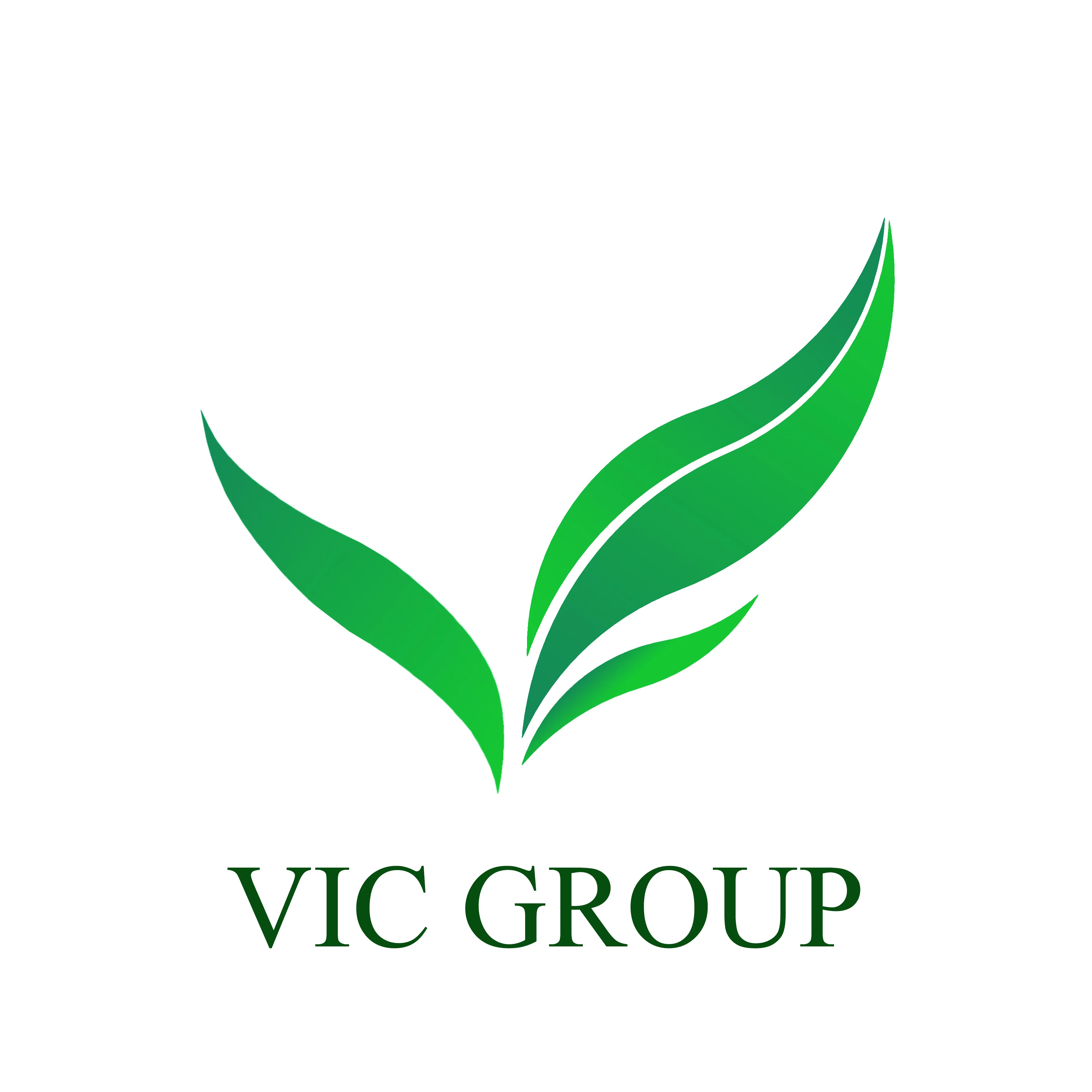 CÔNG TY CỔ PHẦN ĐẦU TƯ VÀ PHÁT TRIỂN VIC GROUP