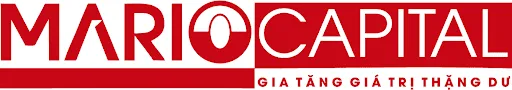 CÔNG TY CỔ PHẦN ĐẦU TƯ MARIO CAPITAL
