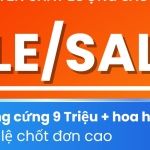 CÔNG TY TNHH ALPHAHOME VIỆT NAM