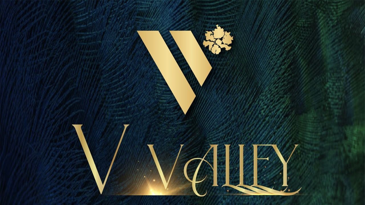 CÔNG TY TNHH PHÁT TRIỂN BẤT ĐỘNG SẢN V VALLEY