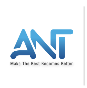 ANT SOLUTION JSC