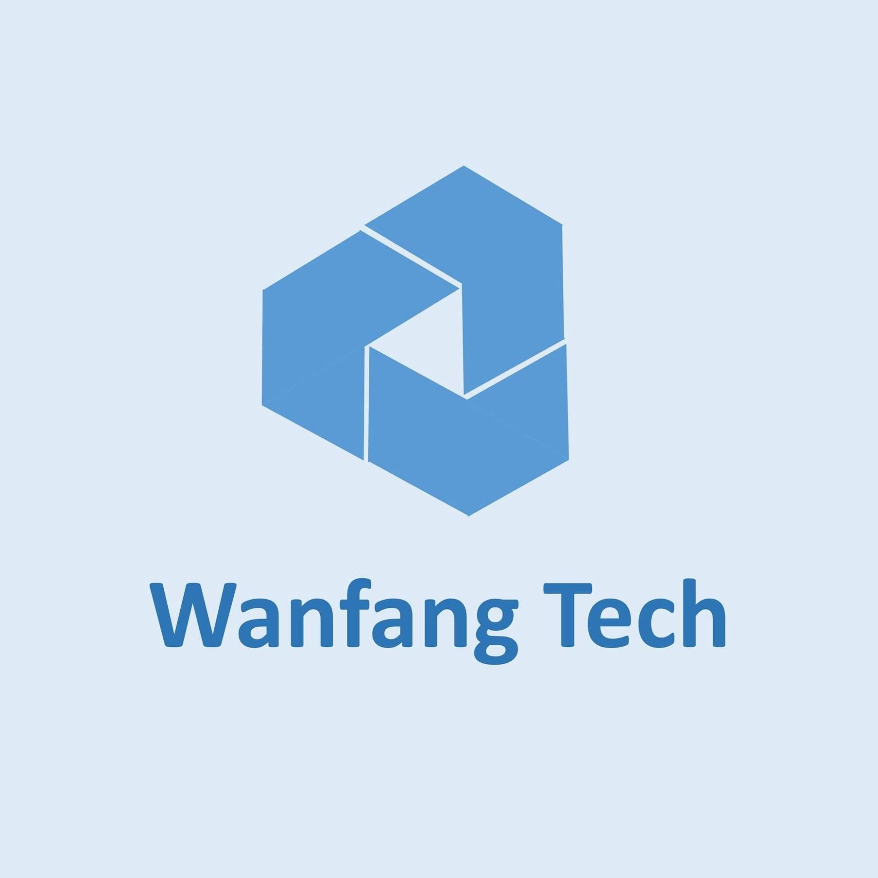 W TECHNOLOGY INC.