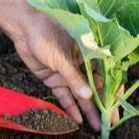 CÔNG TY CỔ PHẦN NÔNG DƯỢC AGRIPHA
