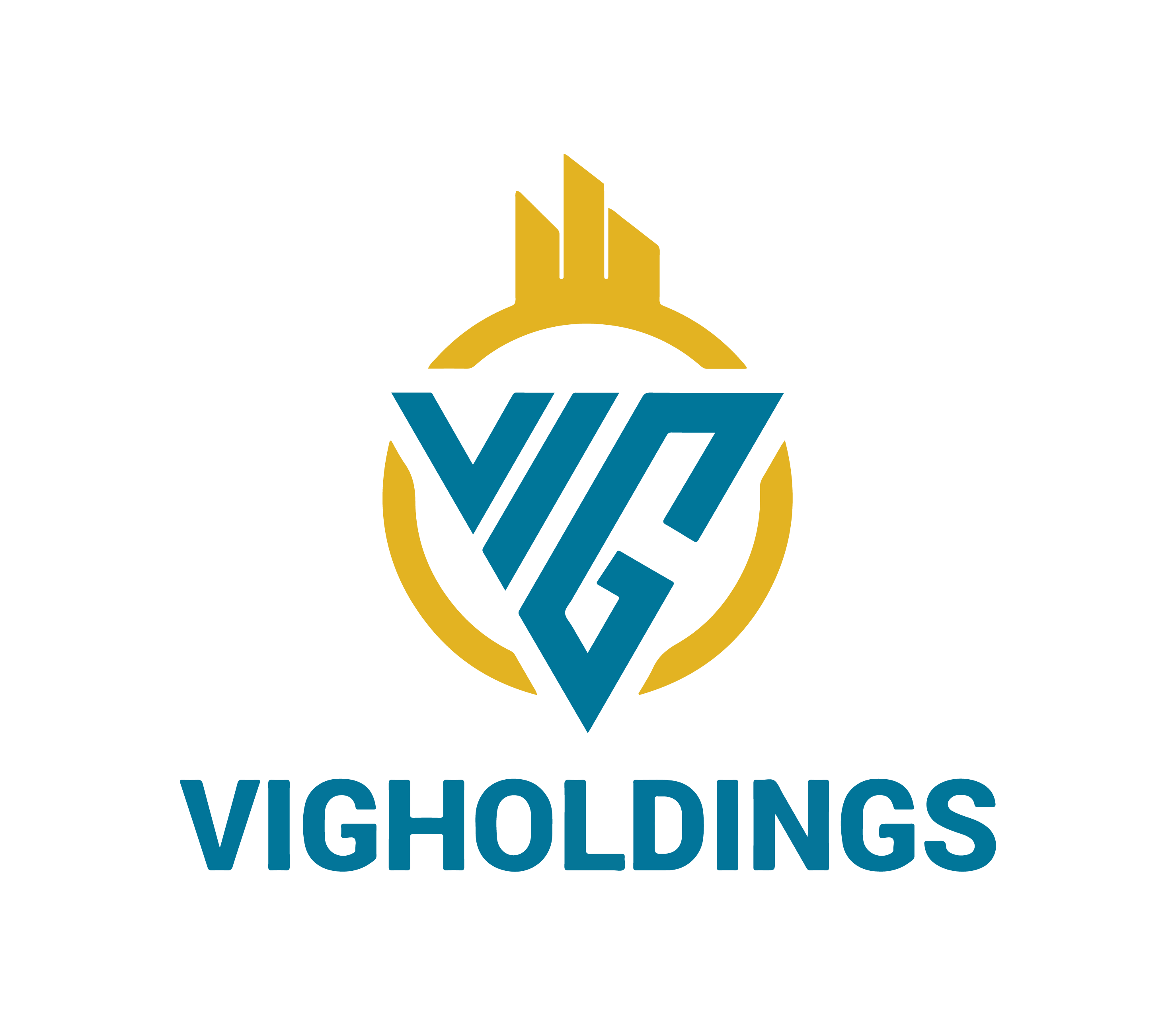 CÔNG TY CỔ PHẦN VIGHOLDINGS
