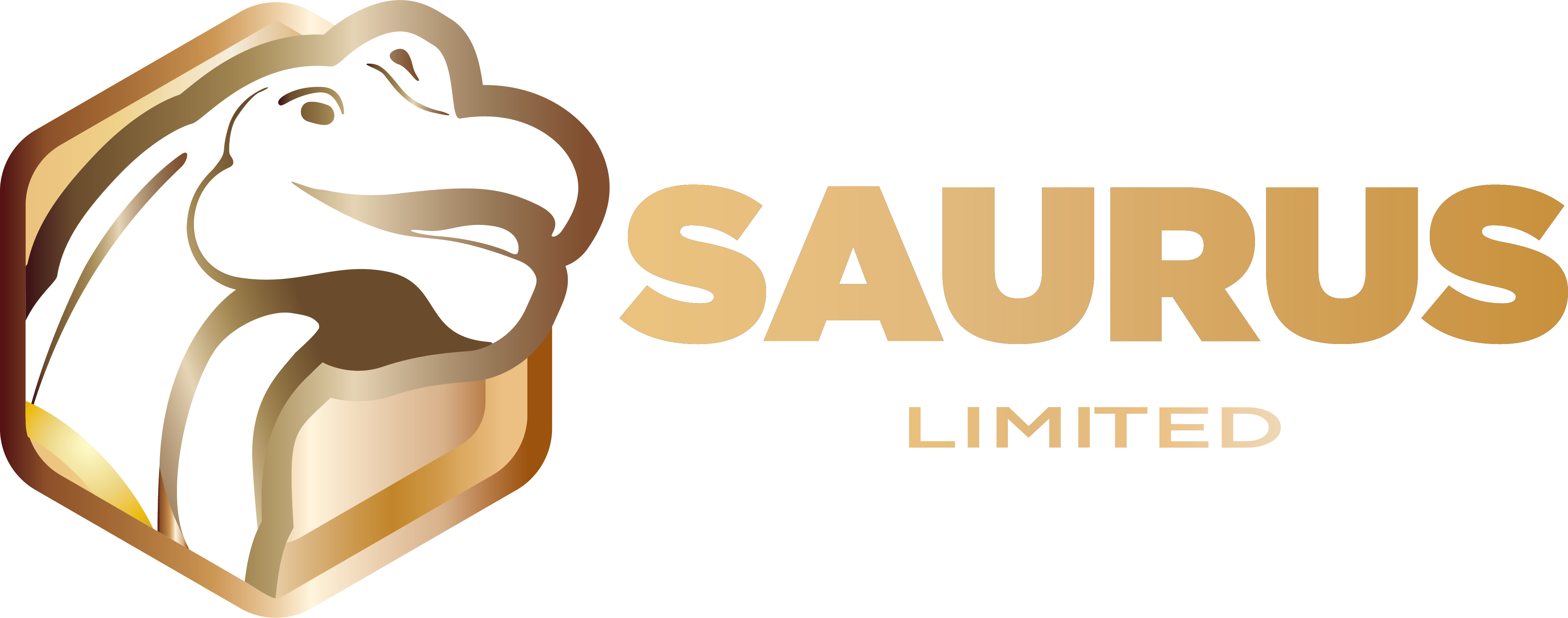 Công ty tnhh saurus
