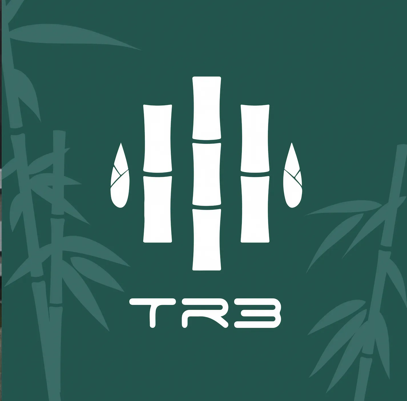 CÔNG TY TNHH THƯƠNG MẠI TRE SPORT