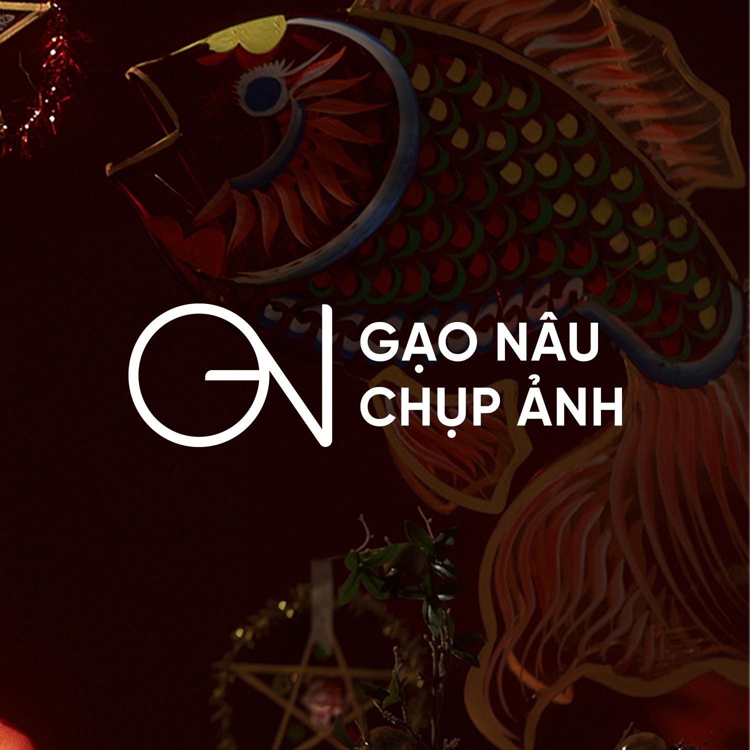 Gạo Nâu Studio