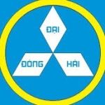 CÔNG TY CỔ PHẦN ĐẦU TƯ XÂY DỰNG ĐẠI ĐÔNG HẢI
