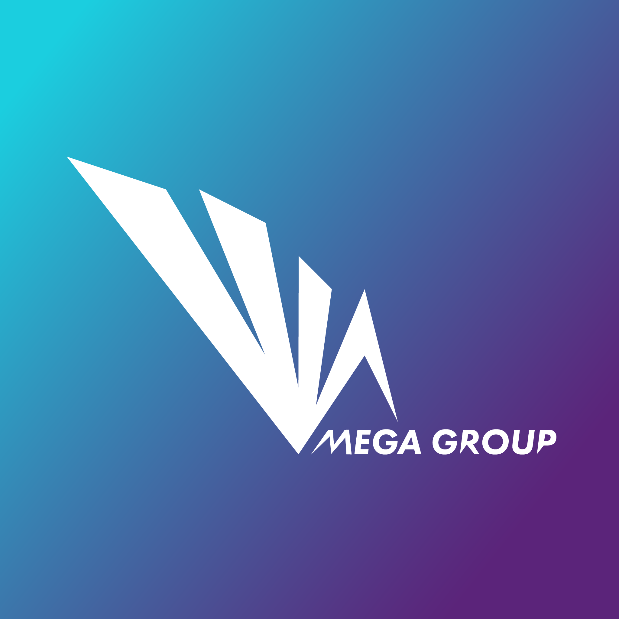CÔNG TY TNHH ĐẦU TƯ VÀ PHÁT TRIỂN MEGA GROUP