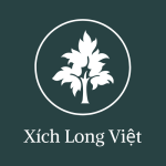 Công ty TNHH XLV Việt Nam