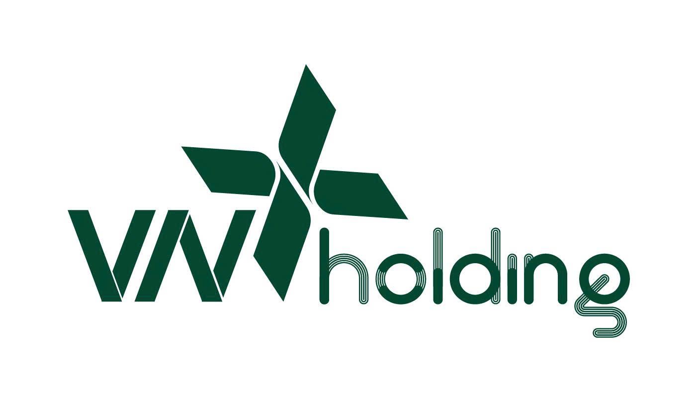 CÔNG TY CỔ PHẦN ĐẦU TƯ VNX HOLDING