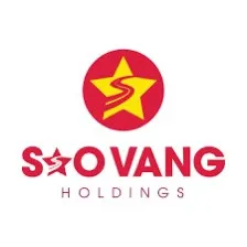 CÔNG TY CỔ PHẦN PHÁT TRIỂN TÀI SẢN SAO VÀNG HOLDINGS