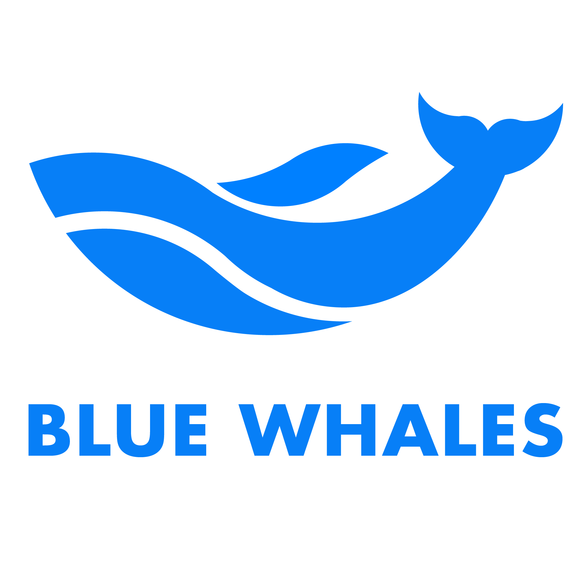 Công ty TNHH BLUEWHALES