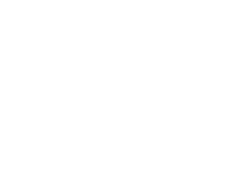 Finix Design