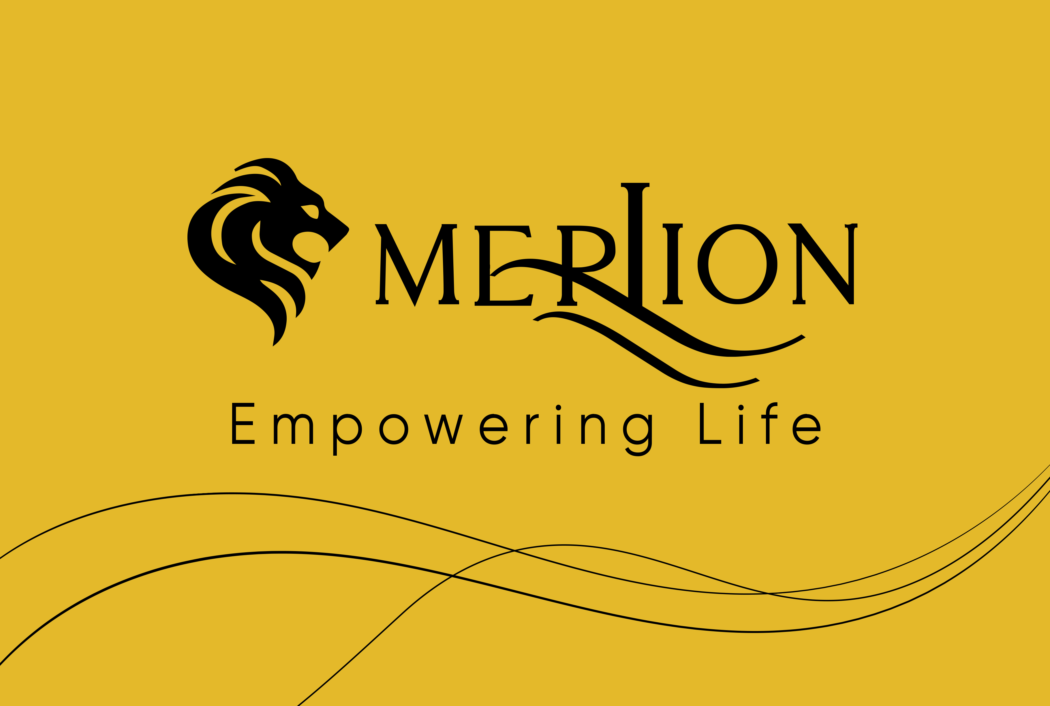 CÔNG TY CP MERLION VIETNAM