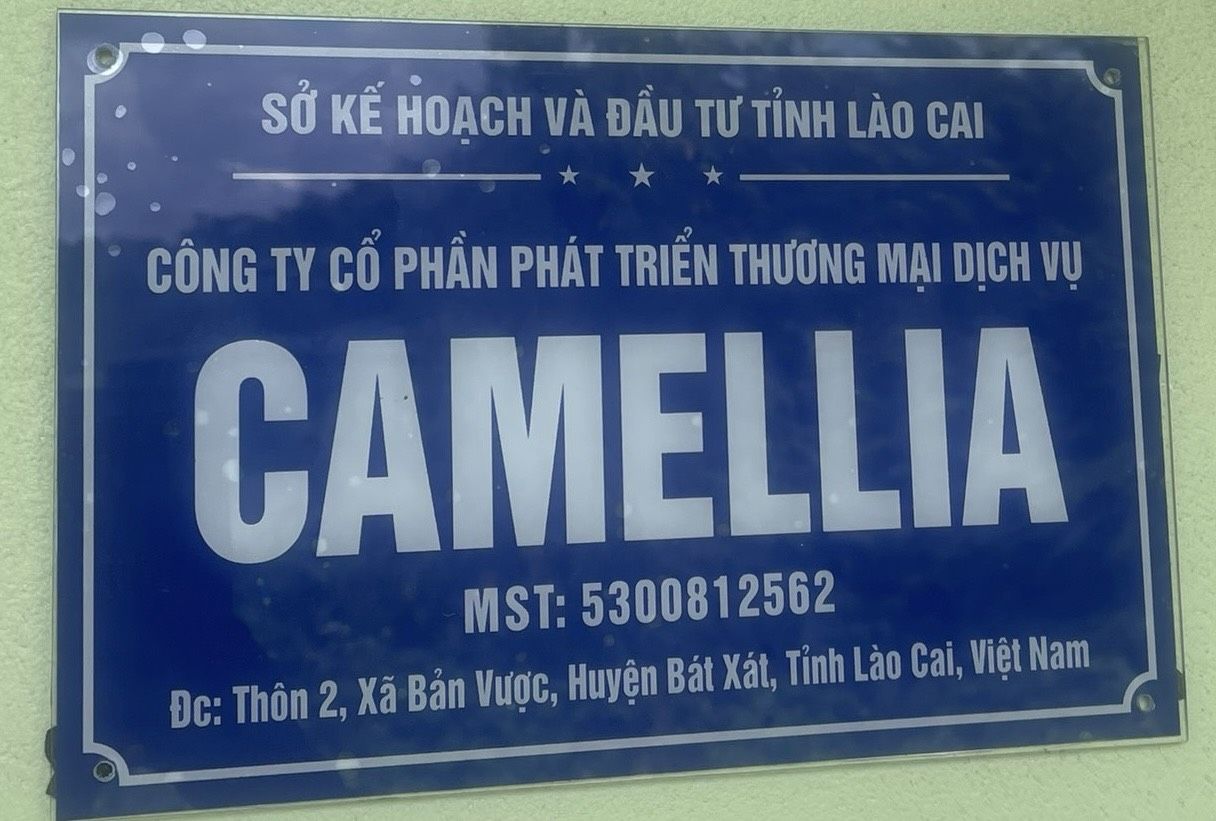 CÔNG TY CỔ PHẦN PHÁT TRIỂN TM DỊCH VỤ CAMELLIA