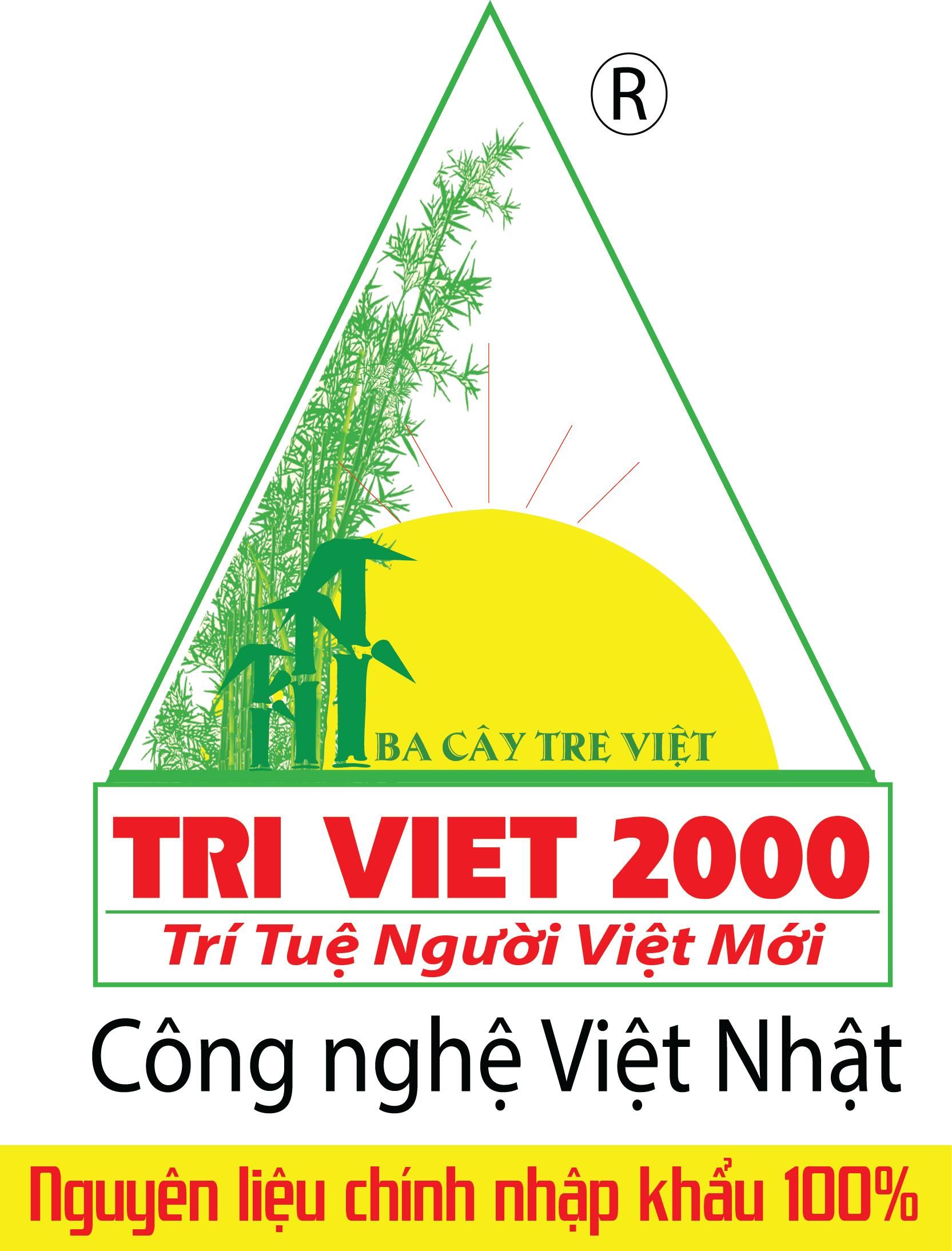 CÔNG TY CỔ PHẦN XUẤT NHẬP KHẨU TRÍ VIỆT 2000