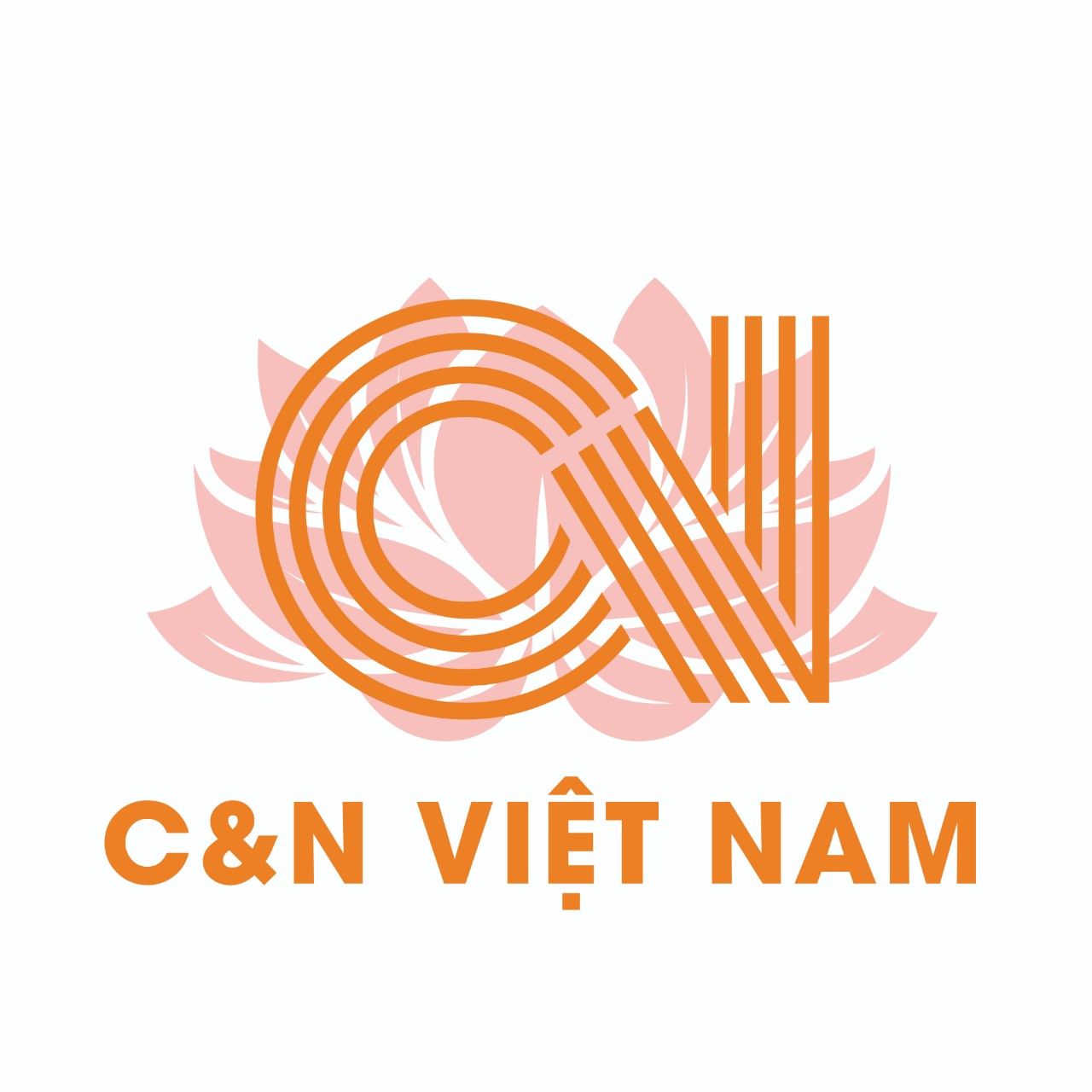 Công Ty TNHH MTV C&N Việt Nam
