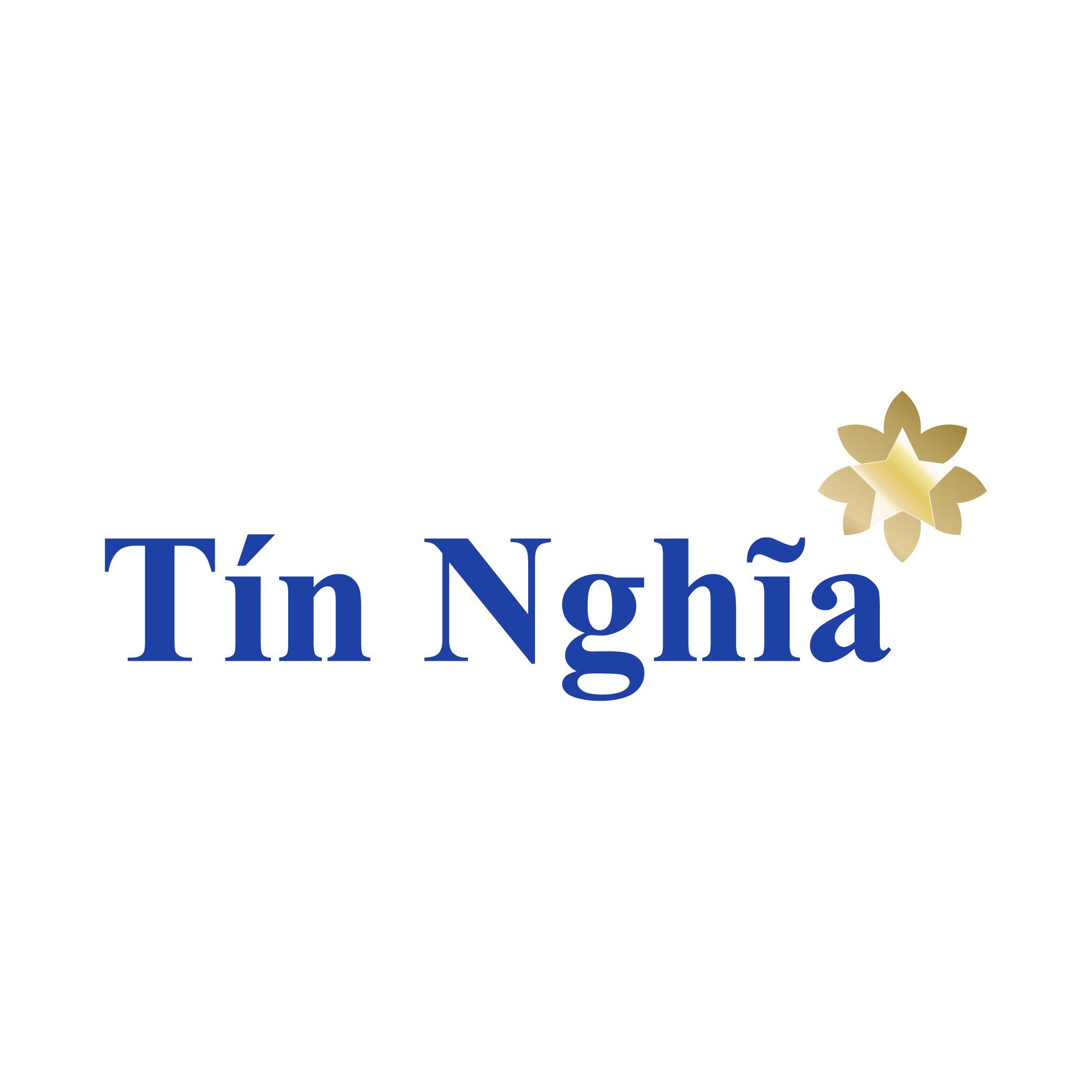 CÔNG TY CỔ PHẦN XUẤT NHẬP KHẨU TỔNG HỢP TÍN NGHĨA