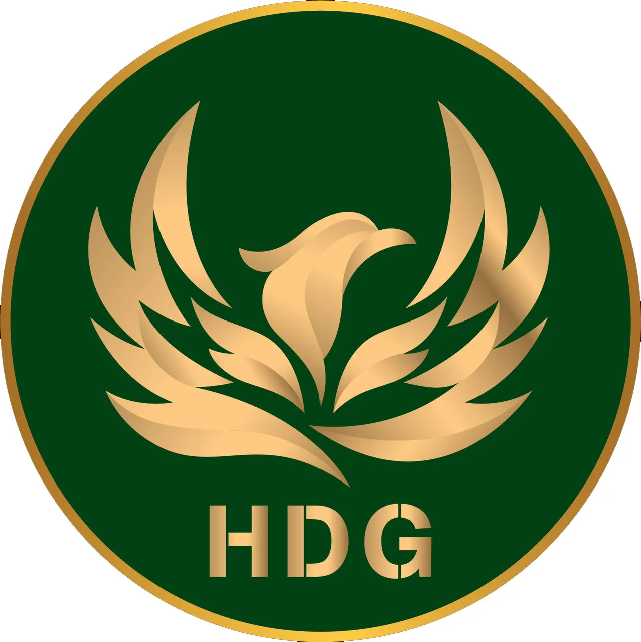 Hoàng Đạt Pro
