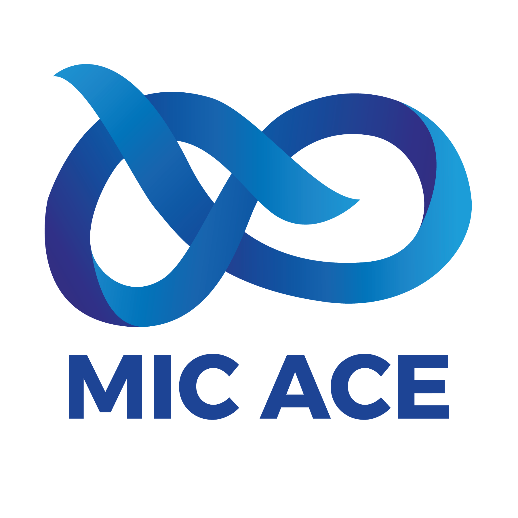 CÔNG TY CỔ PHẦN NỀN TẢNG SỐ MIC ACE