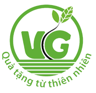CÔNG TY TNHH CHĂM SÓC SỨC KHỎE VG VIỆT NAM