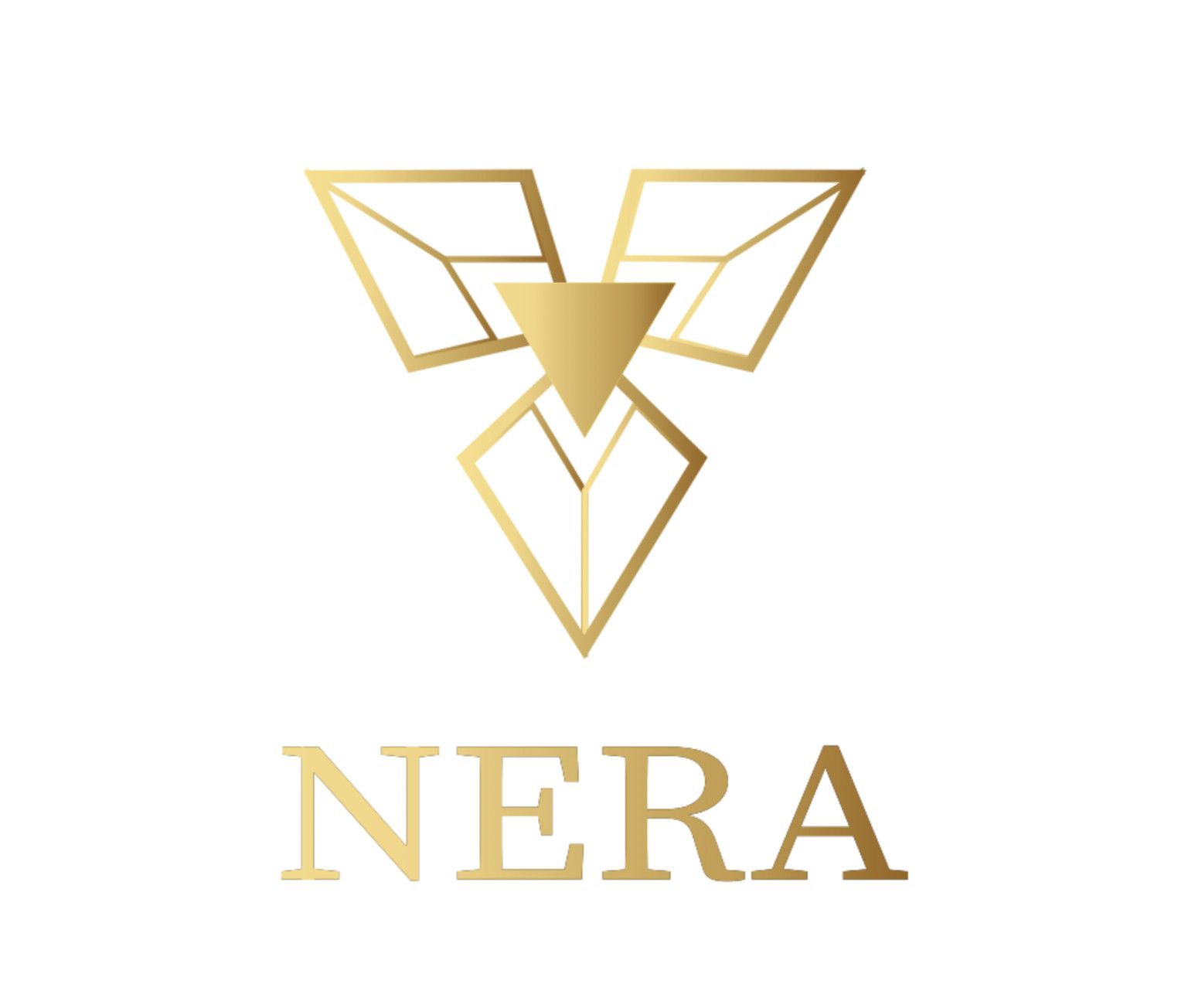 CÔNG TY TNHH TƯ VẤN ĐẦU TƯ NERA