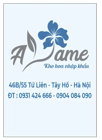 Công ty TNHH Xuất Nhập Khẩu Ayame