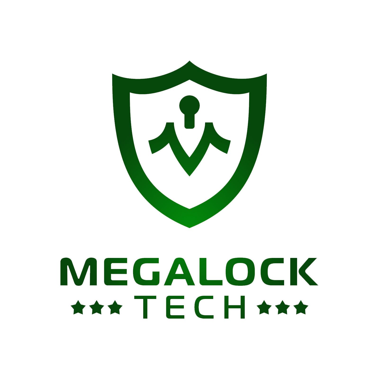 CÔNG TY TNHH MEGALOCK TECH